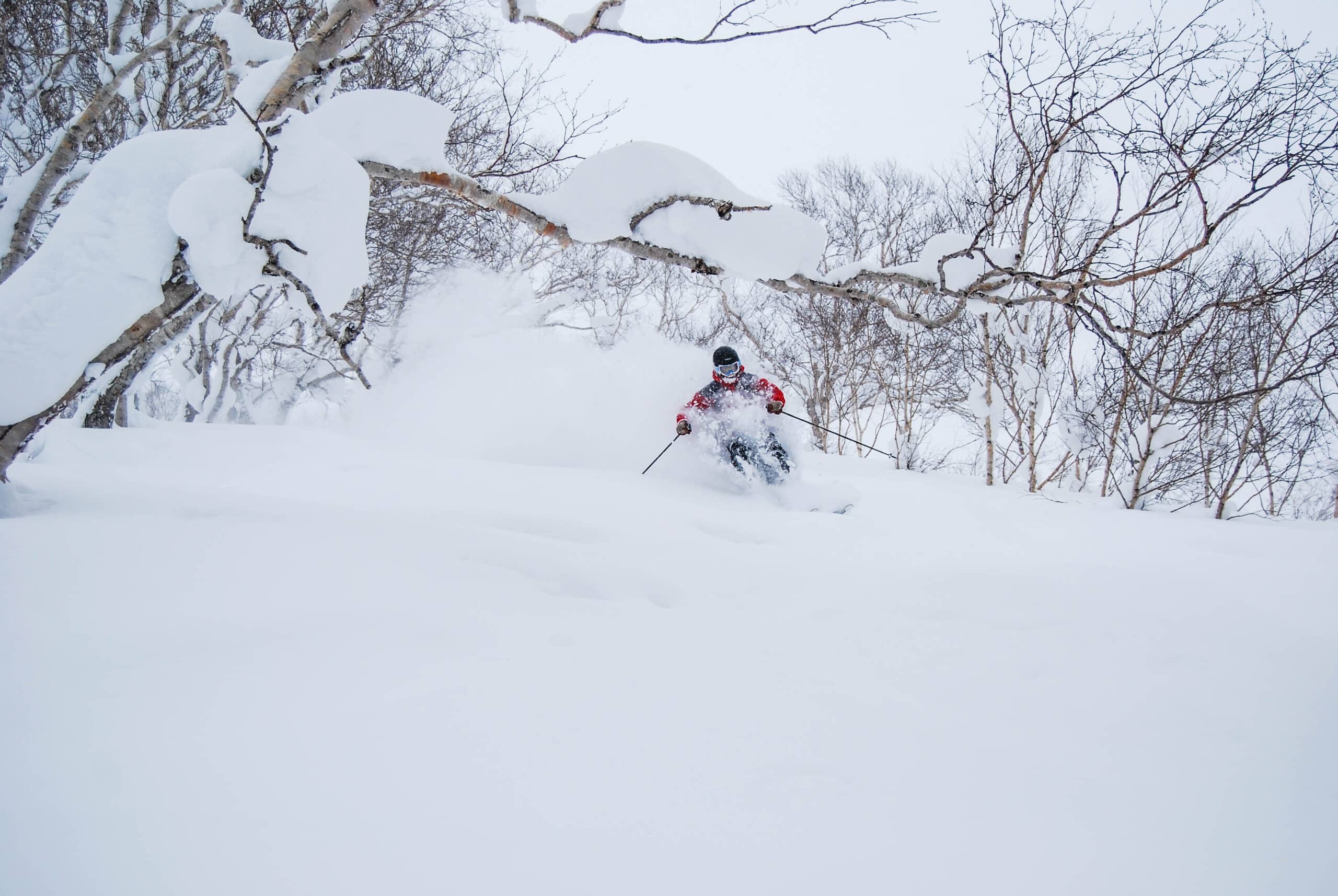 Poeder skien in Japan
