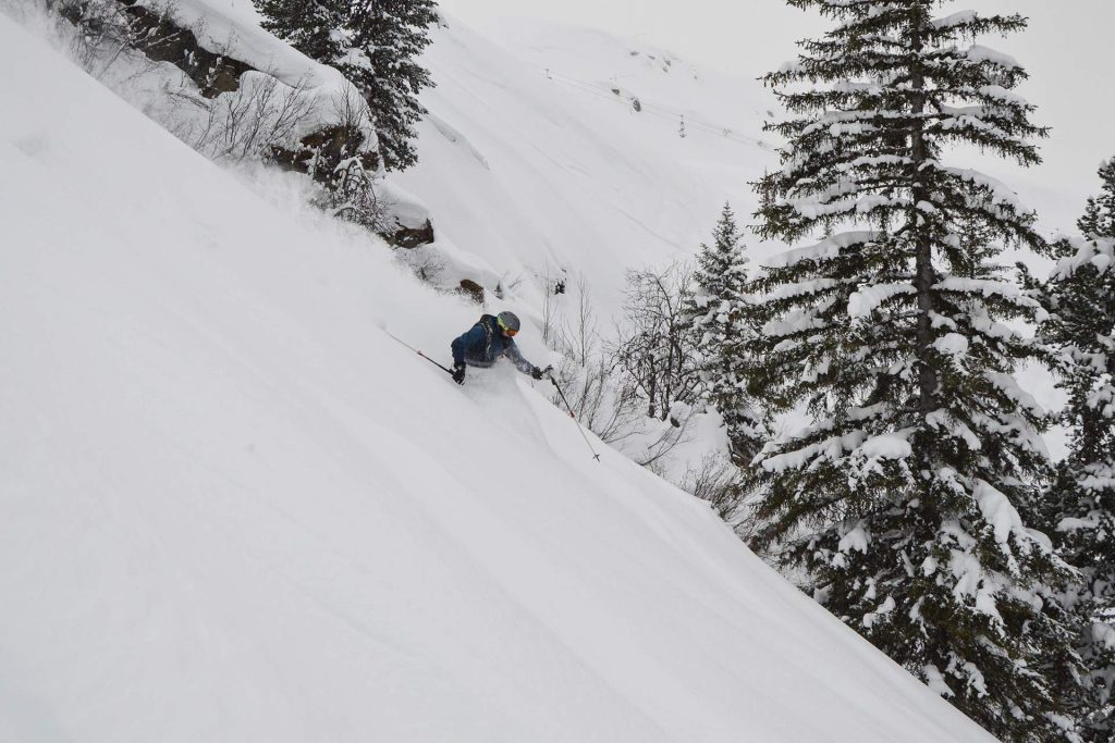 Freeride ski en snowboard trip naar de Alpen