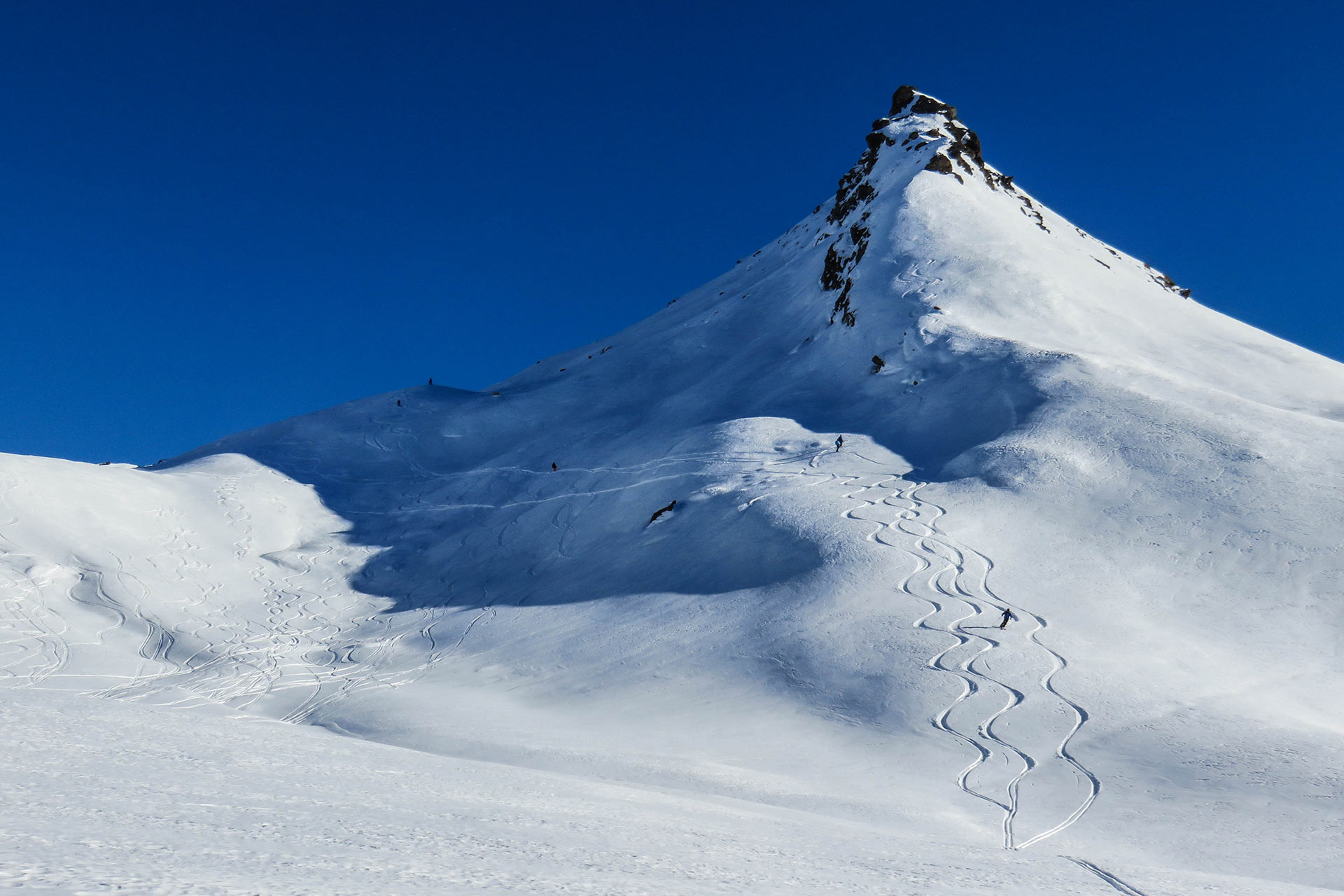 Freeride ski en snowboard trip naar de Alpen