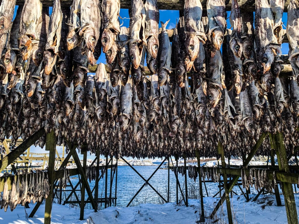 Tourskiën Lofoten Noorwegen