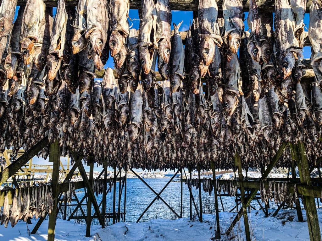 Tourskiën Lofoten Noorwegen