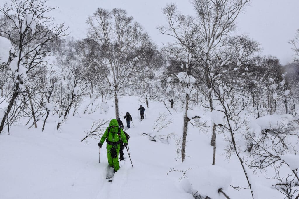 Freetour Japan Hokkaido