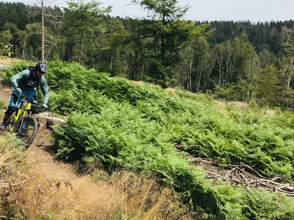 Mountainbike training Montherme Belgie