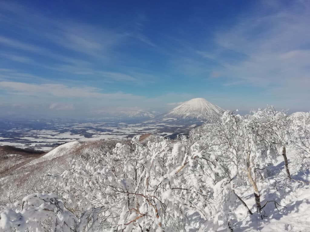 Freeride reis naar Niseko, Japan