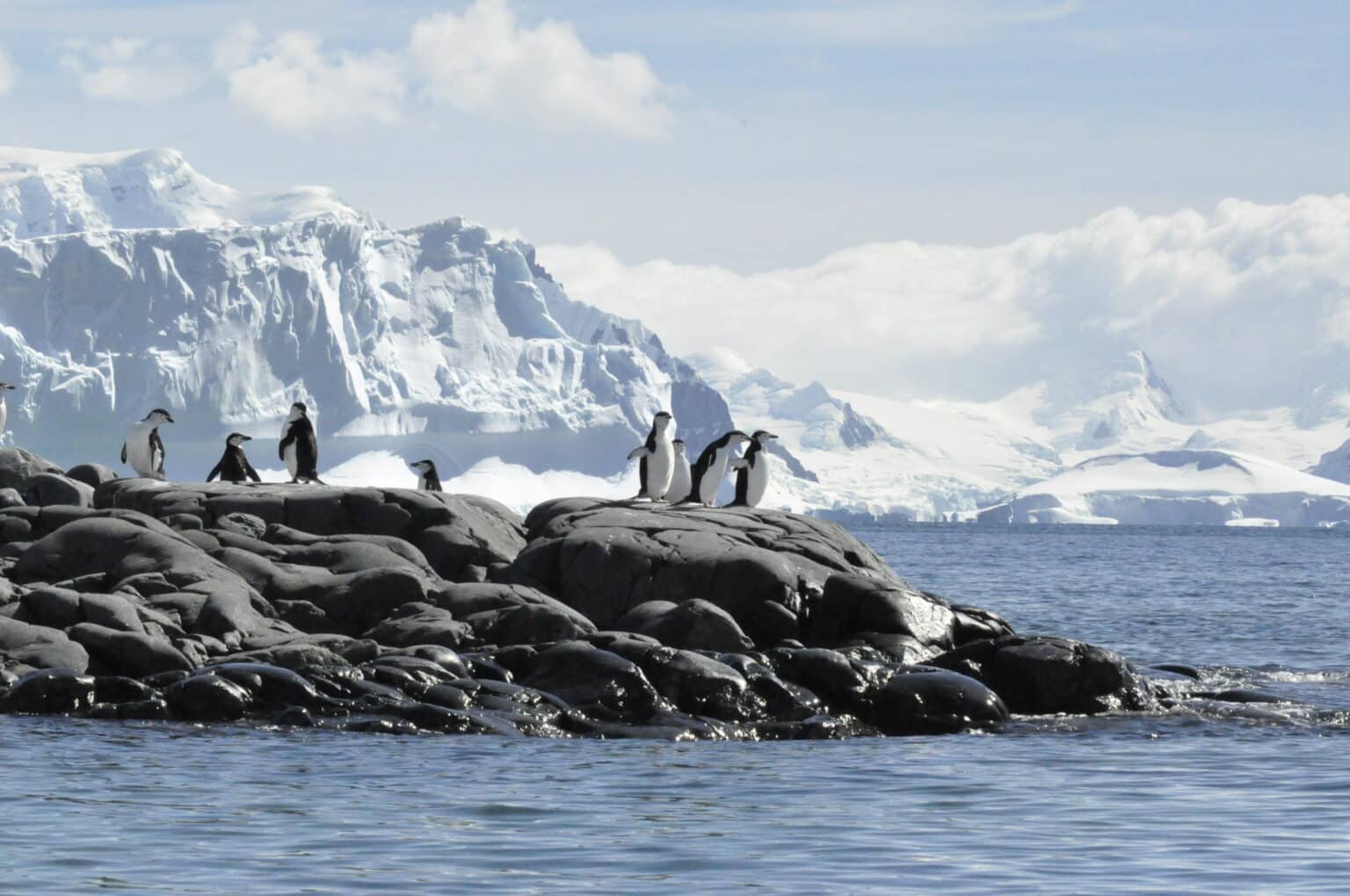 Expeditie Antarctica Zeilen Toerskiën