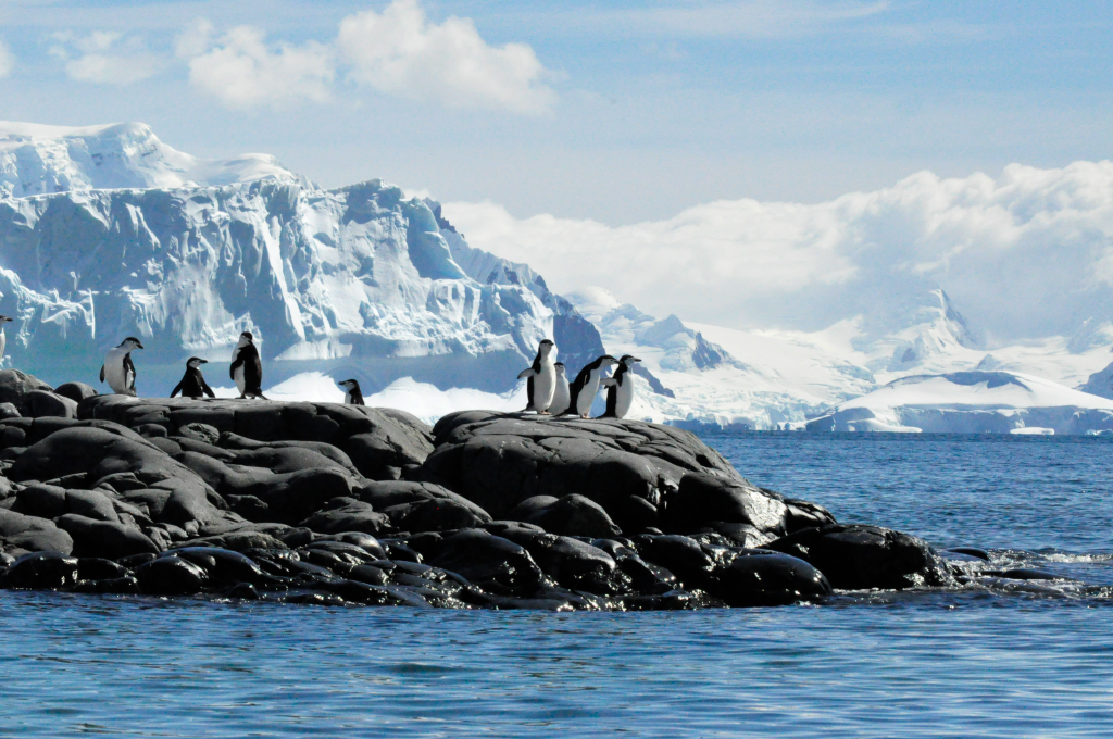 Epique ski reis naar Antarctica