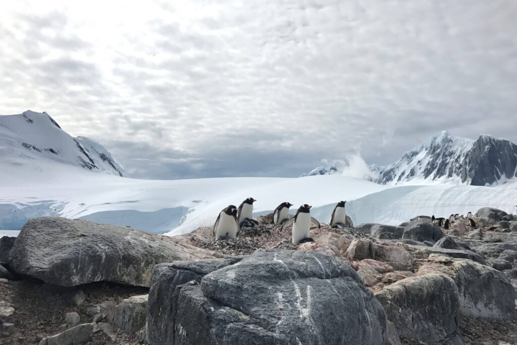 Tourskiën op antarctica