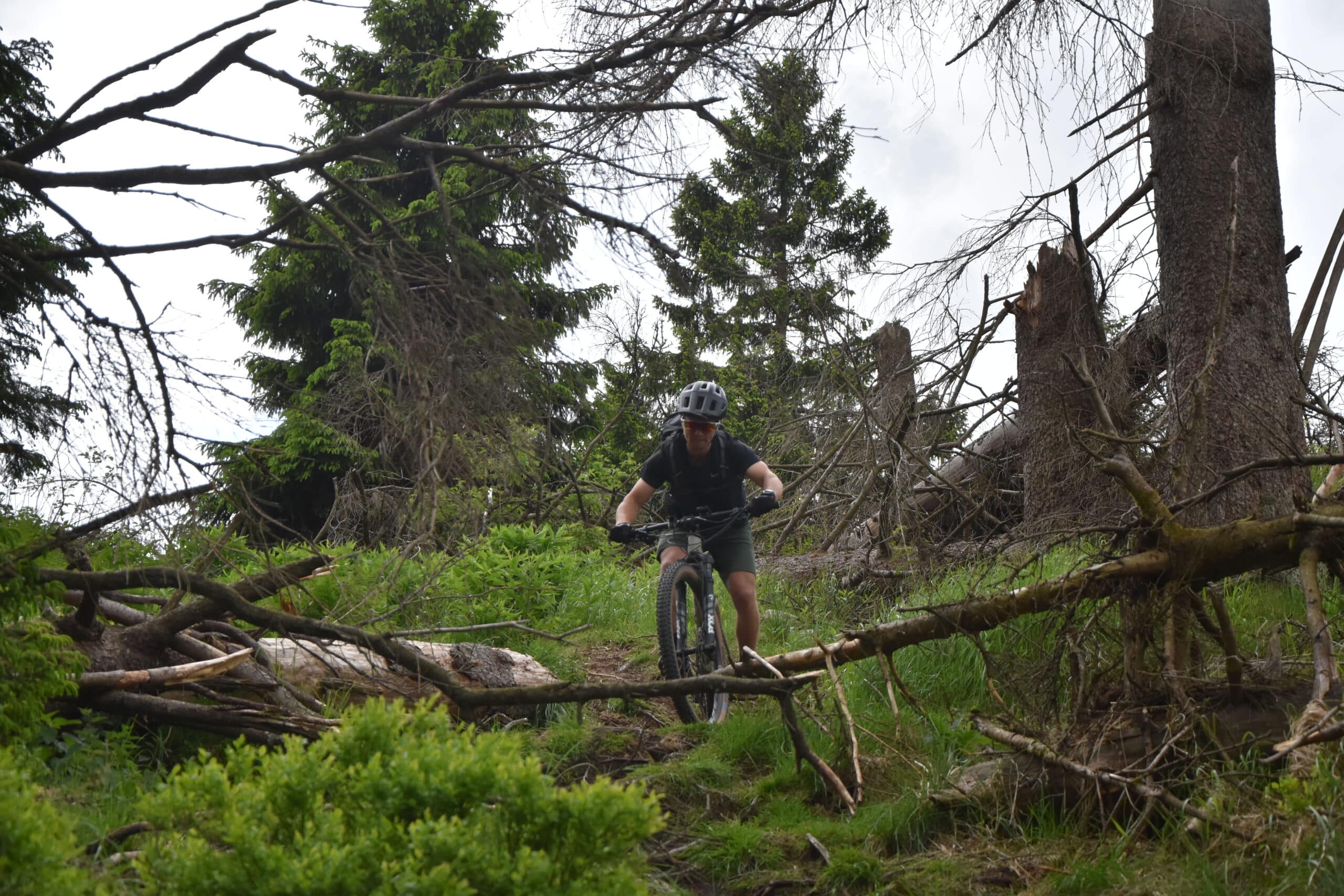 Mountainbike reis dwarz door de Harz Duitsland