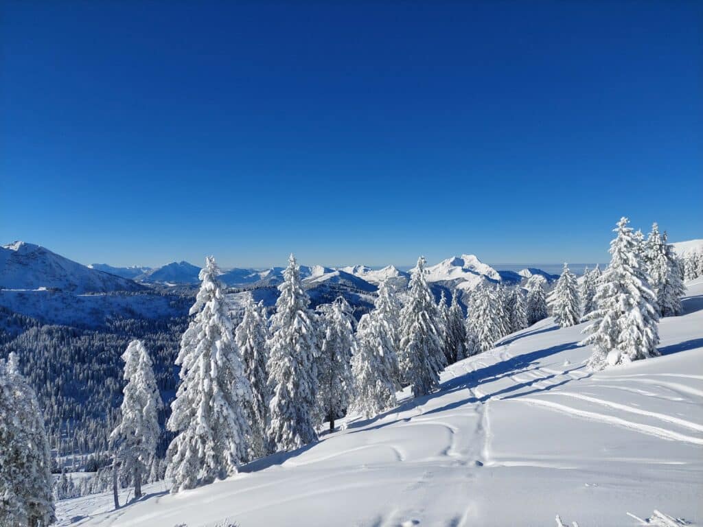 Tourski en catski reis naar Kirgizie