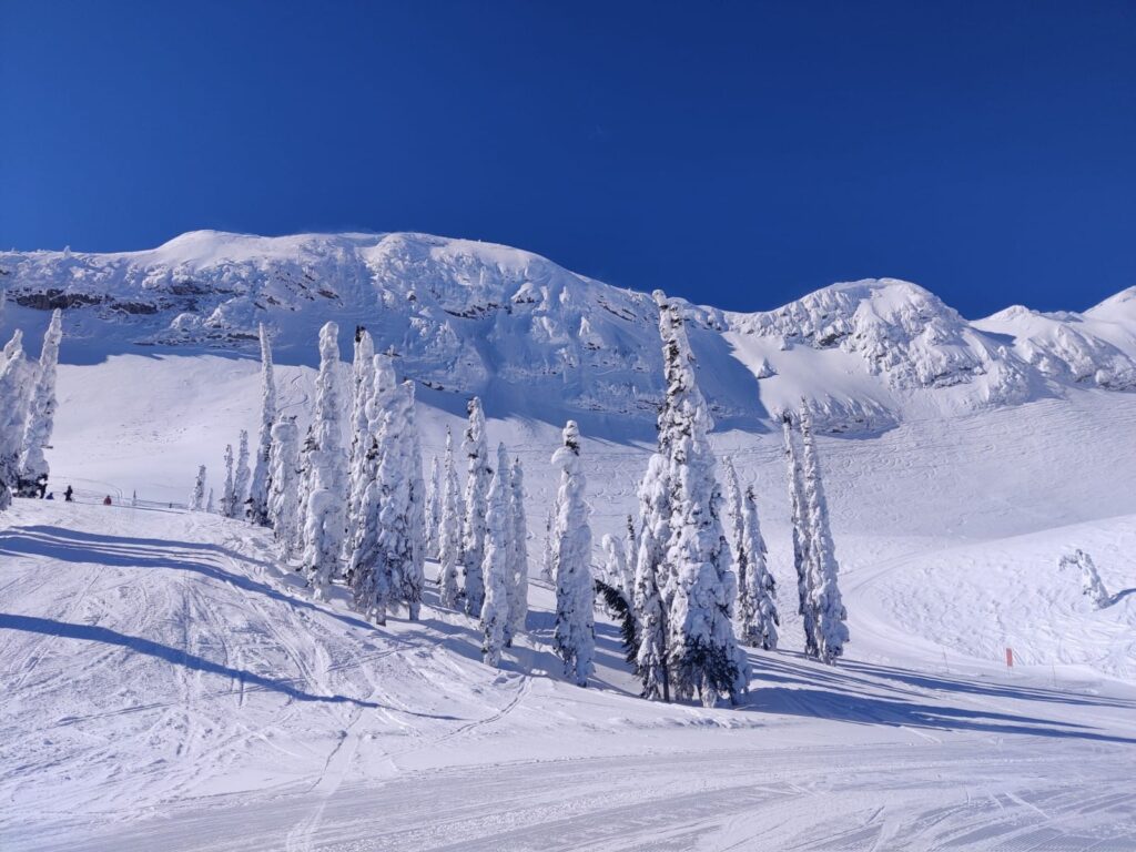 Canada Ski Safari