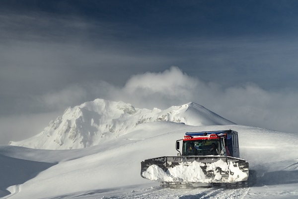 Catskien en boarden in Georgie, Europa