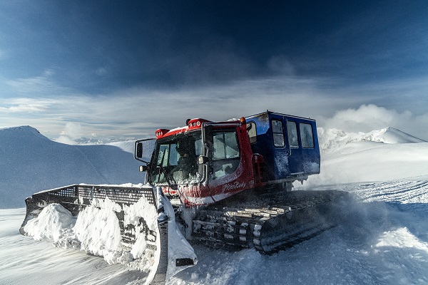 Catskien en boarden in Georgie, Europa