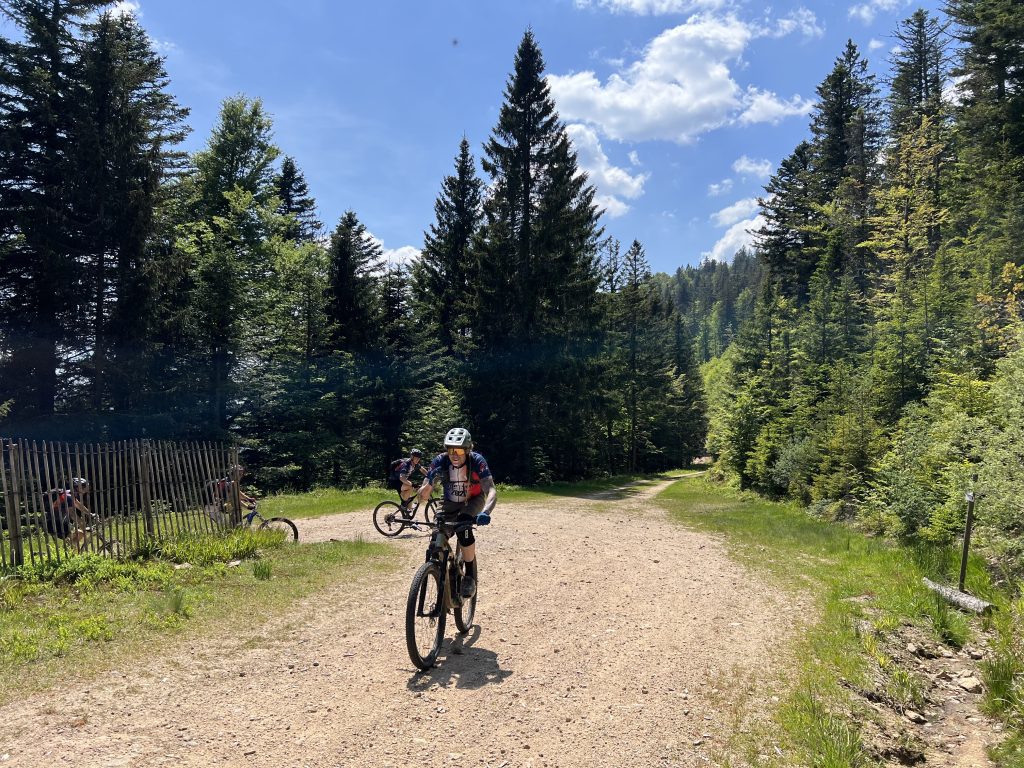 Mountainbike reis Vogezen Cross Country
